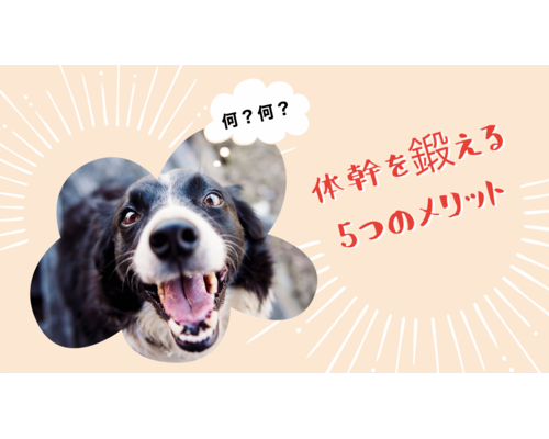 体幹