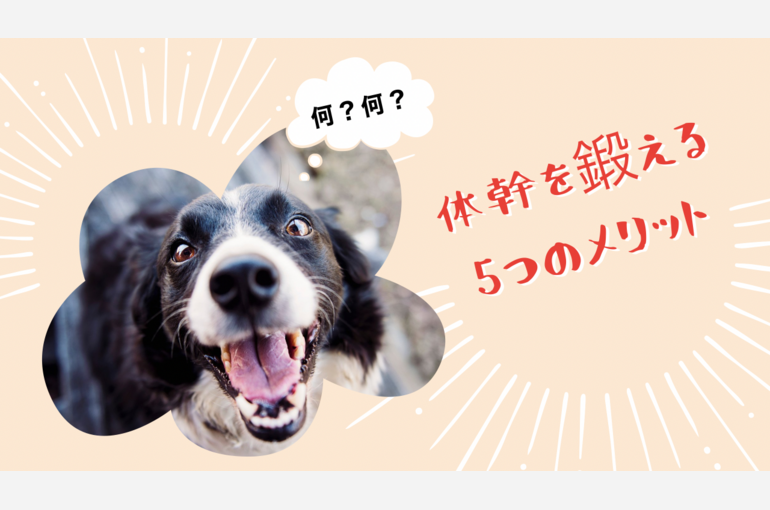体幹